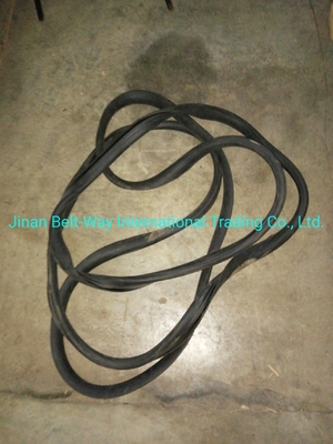 Sinotruk HOWO Truck Parts Voorruitverzegelingsrubber Wg1642710002 Standard Competitive