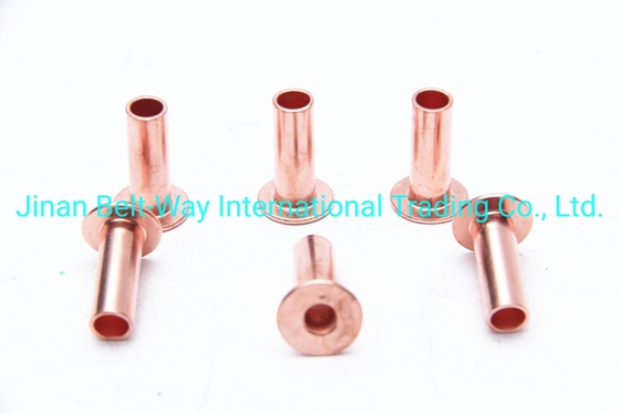 Sinotruk HOWO Truck Parts Remvoeringen Rivet Wg9231340068 Standaard en Duurzaam 10*22mm