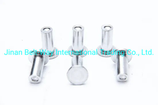 Sinotruk HOWO Truck Parts Remvoeringen Rivet Wg9231340068 Standaard en Duurzaam 10*22mm