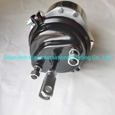Sinotruk HOWO Truck Parts Brekkamer Wg9000360601 Batterij voor elektrisch systeem