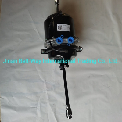 Sinotruk HOWO Truck Parts Brekkamer Wg9000360600 in zwart voor standaard trucks