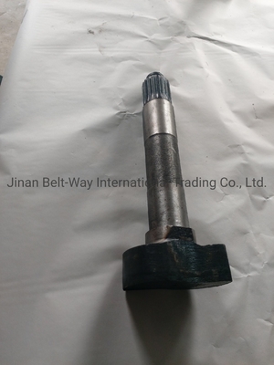 Sinotruk HOWO Truck Spare Parts Bremscamshaft Wg9100440002 Wg9100440001 voor versnellingsbak