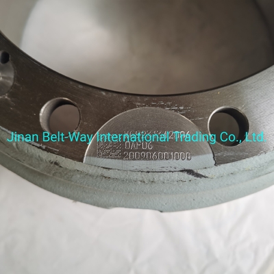 Elektrisch systeem onderdelen Batterij voor Sinotruk HOWO Truck Brake Drum Wg9231342006 Duurzaam