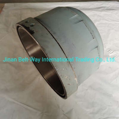 Elektrisch systeem onderdelen Batterij voor Sinotruk HOWO Truck Brake Drum Wg9231342006 Duurzaam