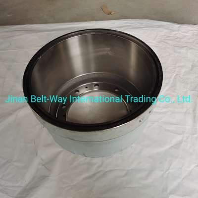 Elektrisch systeem onderdelen Batterij voor Sinotruk HOWO Truck Brake Drum Wg9231342006 Duurzaam