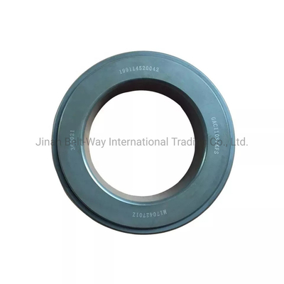 Sinotruk HOWO Shacman Balance Shaft Thrust Bearing 199114520042 voor vrachtwagen/marine motoren