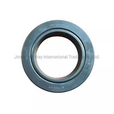 Sinotruk HOWO Shacman Balance Shaft Thrust Bearing 199114520042 voor vrachtwagen/marine motoren