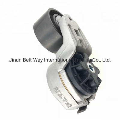 Chinese leveranciers HOWO Vg2600060313 Truck Belt Tensioner Pulley voor Sinotruk Weichai-motor