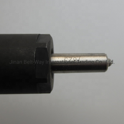 CE-gecertificeerde brandstofinjector voor motordeel VG1246080036