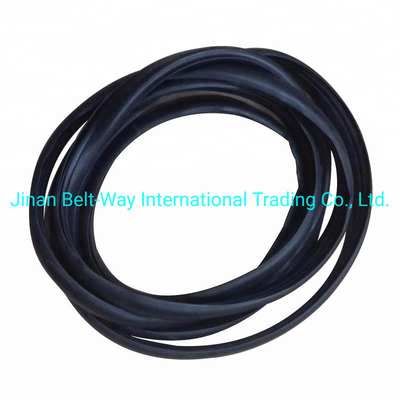 Sinotruk HOWO Truck Parts Voorruitverzegelingsrubber Wg1642710002 Standard Competitive