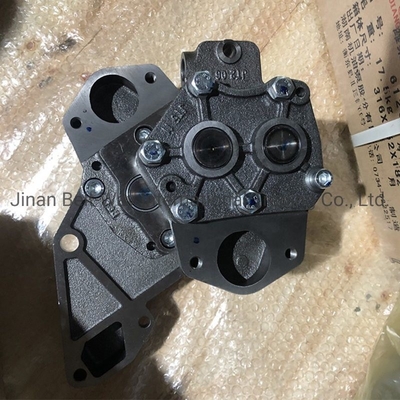 Sinotruk HOWO Deutz Tractor Oil Pump Az1500070021A Beschermd door Made-in.com Terugbetaling