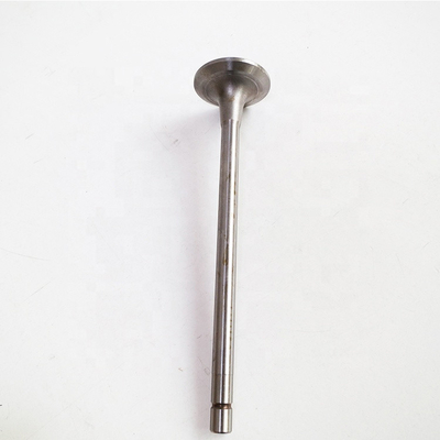 Op maat gemaakte Sinotruk HOWO Spare Parts Wd615 Motor Air Exhaust Input Valve 612600050073
