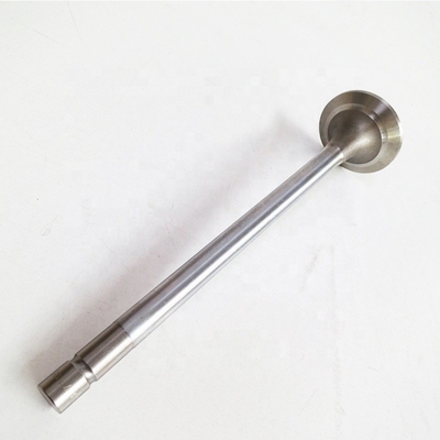 Op maat gemaakte Sinotruk HOWO Spare Parts Wd615 Motor Air Exhaust Input Valve 612600050073