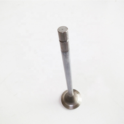 Op maat gemaakte Sinotruk HOWO Spare Parts Wd615 Motor Air Exhaust Input Valve 612600050073