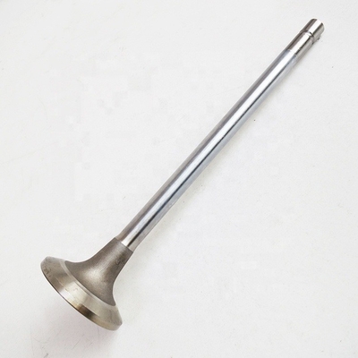 Op maat gemaakte Sinotruk HOWO Spare Parts Wd615 Motor Air Exhaust Input Valve 612600050073