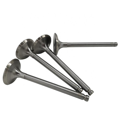 Op maat gemaakte Sinotruk HOWO Spare Parts Wd615 Motor Air Exhaust Input Valve 612600050073
