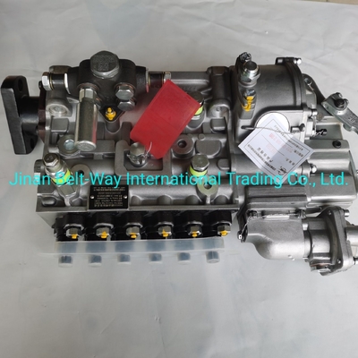 Sinotruk HOWO Truck Parts Fuel Injection Pump Vg1560080021 met USD betalingsteun