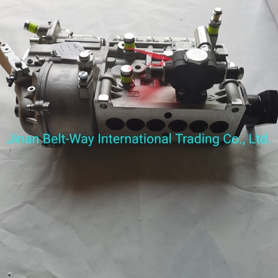 Sinotruk HOWO Truck Parts Fuel Injection Pump Vg1560080021 met USD betalingsteun