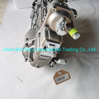 Sinotruk HOWO Truck Parts Fuel Injection Pump Vg1560080021 met USD betalingsteun