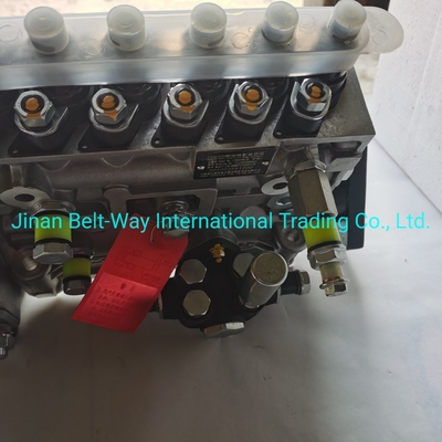 Sinotruk HOWO Truck Parts Fuel Injection Pump Vg1560080021 met USD betalingsteun