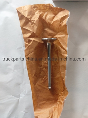 Elektrische onderdelen Sinotruk HOWO Truck motor uitlaatklep Vg1560050041