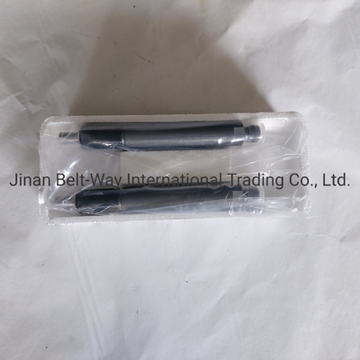Sinotruk HOWO Truck Parts Fuel Injector Vg1560080276 voor aandrijfsysteem voor de vooras