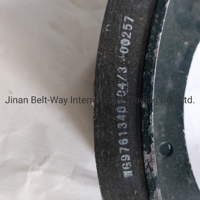 Sinotruk HOWO Truck Brake Shoes Wg9761340104-3 met onderdelen voor het aandrijfsysteem van de vooras