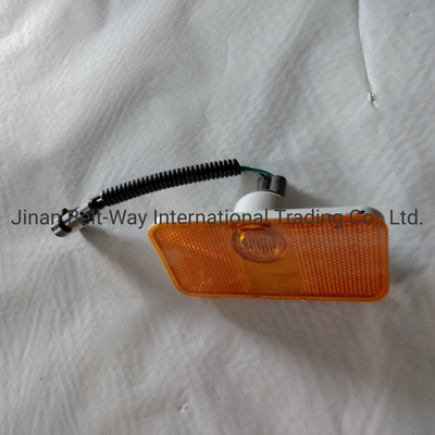 Sinotruk HOWO Truck Parts Side-Marker Lamp Wg9100720012/2 Uitstekende functionaliteit
