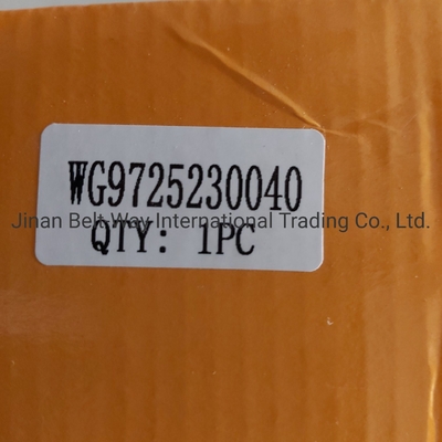 Onderdelen van het remsysteem Wg9725230040 Clutch Booster Cylinder voor Sinotruk HOWO Truck OEM