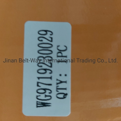 Sinotruk HOWO Truck Parts Clutch Booster Cylinder Wg9719230029 Perfect voor uw vrachtwagen
