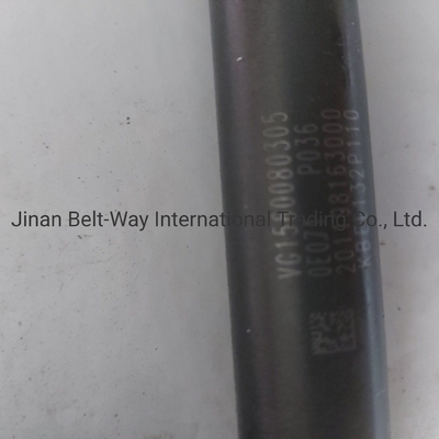 Brandstofinjector Vg1560080305 Contact voor verzendkosten om Sinotruk HOWO Truck Parts te kopen