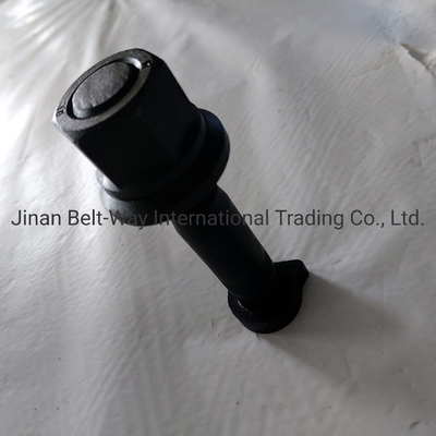 Sinotruk HOWO Truck Parts Achterwiel Bolt Az9112340123 Vooras Driving System Parts