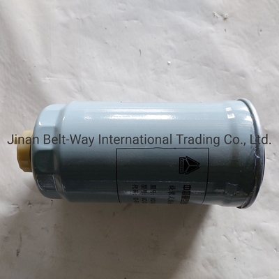 Sinotruk HOWO Truck Parts Truck Spare Parts Brandstoffilters Vg14080740A met zwarte kleur