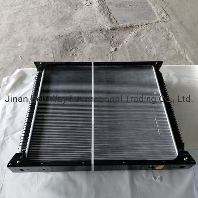 Sinotruk HOWO Truck Parts Radiator Wg9719530270 Wg9725530011 Contact voor verzendkosten