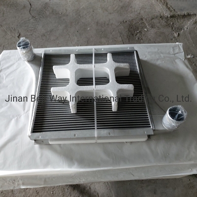 Sinotruk HOWO Truck Onderdelen Supercharged Intercooler Wg97255300250 Wg9725530020