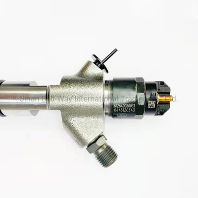 Zuidoost-Azië brandstofinjector assemblage 612640080031 0445120343 voor Weichai Wp10.336 motor