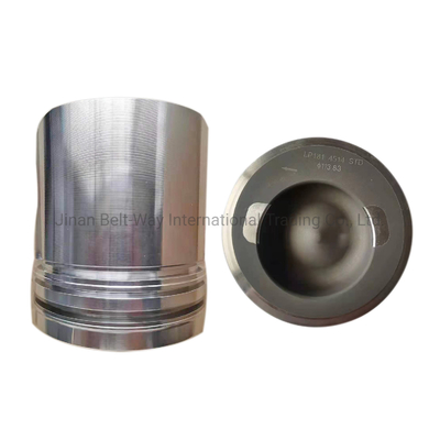 Onderdelen van het versnellingsbaktransmissie-systeem 240 pk Cummins 6CTA Motor Spare Parts Kolven 3919565