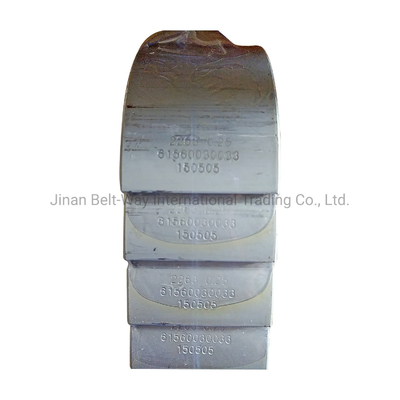 Beveiligde betalingen 2022 Wd10 Wd12 Marine Engine Cr Connecting Rod Bearing 61560030033 0.25