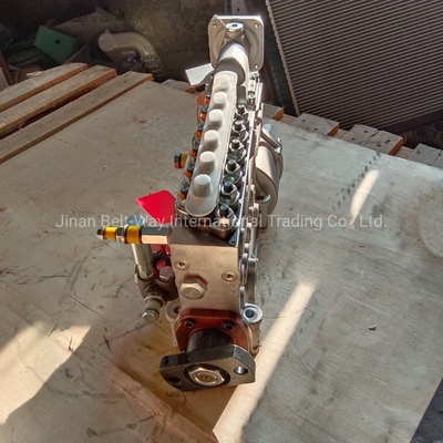 Originele Sinotruk Wd615 motoronderdelen Injectiepomp Vg1560080022 voor Shacman F3000